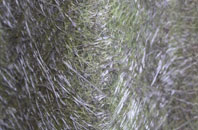 Dishforth fibreglass roof work